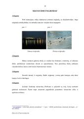 Skeneriai. Informacija vartotojui 10 puslapis