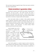 Smart card 10 puslapis