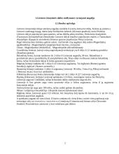 Smėlynų augalija 2 puslapis