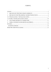 Smulkaus ir vidutinio verslo vaidmuo ir vieta šalies ekonomikoje 2 puslapis