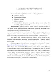 Smulkaus ir vidutinio verslo vaidmuo ir vieta šalies ekonomikoje 12 puslapis