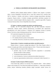 Smulkaus ir vidutinio verslo vaidmuo ir vieta šalies ekonomikoje 13 puslapis