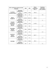 Smulkaus ir vidutinio verslo vaidmuo ir vieta šalies ekonomikoje 17 puslapis