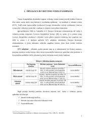 Smulkaus ir vidutinio verslo vaidmuo ir vieta šalies ekonomikoje 5 puslapis