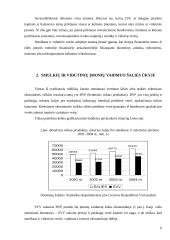 Smulkaus ir vidutinio verslo vaidmuo ir vieta šalies ekonomikoje 6 puslapis