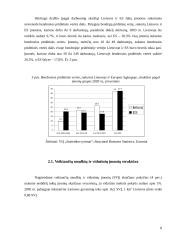 Smulkaus ir vidutinio verslo vaidmuo ir vieta šalies ekonomikoje 8 puslapis