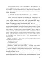 Smulkaus ir vidutinio verslo valstybės rėmimas 12 puslapis