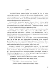 Smulkaus ir vidutinio verslo valstybės rėmimas 3 puslapis