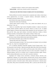 Smulkaus ir vidutinio verslo valstybės rėmimas 4 puslapis