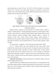 Smulkaus ir vidutinio verslo valstybės rėmimas 5 puslapis
