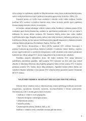 Smulkaus ir vidutinio verslo valstybės rėmimas 8 puslapis