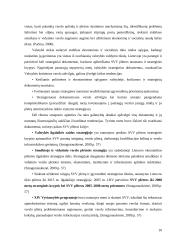 Smulkaus ir vidutinio verslo valstybės rėmimas 10 puslapis