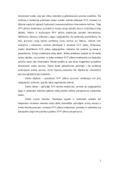 Viskas apie smulkų ir vidutinį verslą (SVV) 2 puslapis