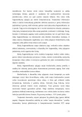 Viskas apie smulkų ir vidutinį verslą (SVV) 11 puslapis