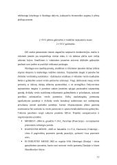 Viskas apie smulkų ir vidutinį verslą (SVV) 12 puslapis