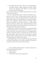 Viskas apie smulkų ir vidutinį verslą (SVV) 13 puslapis