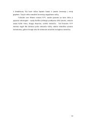 Viskas apie smulkų ir vidutinį verslą (SVV) 18 puslapis