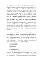 Viskas apie smulkų ir vidutinį verslą (SVV) 7 puslapis