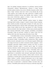 Viskas apie smulkų ir vidutinį verslą (SVV) 8 puslapis