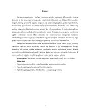 Socialinė neįgaliųjų integracija švietime istoriniu aspektu 3 puslapis