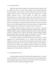 Socialinė neįgaliųjų integracija švietime istoriniu aspektu 10 puslapis