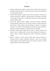 Socialinės atskirties veiksniai Lietuvoje 13 puslapis