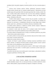 Socialinės atskirties veiksniai Lietuvoje 5 puslapis