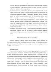 Socialinės atskirties veiksniai Lietuvoje 10 puslapis