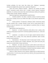 Socialinės ir teisės normos 11 puslapis