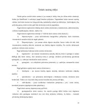 Socialinės ir teisės normos 13 puslapis