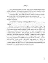 Socialinės ir teisės normos 3 puslapis