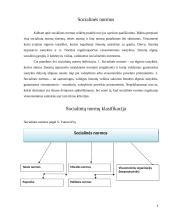 Socialinės ir teisės normos 4 puslapis