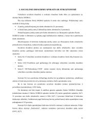 Socialinis draudimas ir jo apskaita 14 puslapis