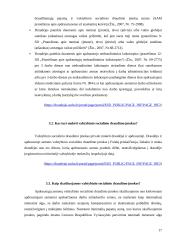 Socialinis draudimas ir jo apskaita 16 puslapis