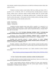 Socialinis draudimas ir jo apskaita 17 puslapis