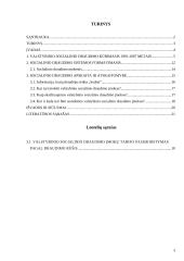 Socialinis draudimas ir jo apskaita 2 puslapis