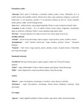 Sodo projektavimas 10 puslapis