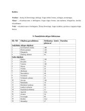 Sodo projektavimas 11 puslapis