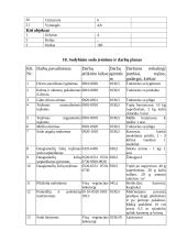 Sodo projektavimas 12 puslapis