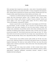 Sodo projektavimas 2 puslapis