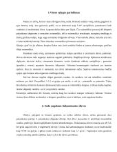 Sodo projektavimas 3 puslapis
