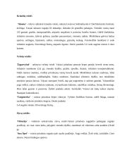 Sodo projektavimas 9 puslapis