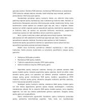 Spalvos kompiuterinėse leidybos sistemose 2 puslapis