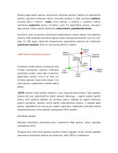 Spalvos kompiuterinėse leidybos sistemose 4 puslapis
