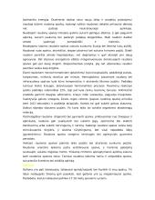 Spalvos kompiuterinėse leidybos sistemose 8 puslapis