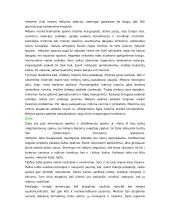 Spalvos kompiuterinėse leidybos sistemose 10 puslapis