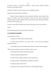 Specifiniai įmonių veiklos apskaitos standartai 11 puslapis