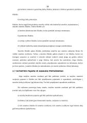 Specifiniai įmonių veiklos apskaitos standartai 12 puslapis