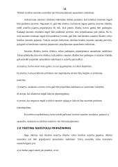 Specifiniai įmonių veiklos apskaitos standartai 14 puslapis