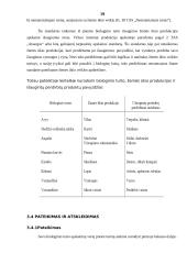 Specifiniai įmonių veiklos apskaitos standartai 19 puslapis